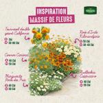 Fleurs - Cosmos Sulphureus Carioca - Graines d'Exception - image